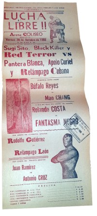 source: http://www.thecubsfan.com/cmll/images/cards/19661028acg.PNG