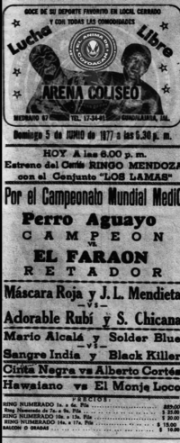 source: http://www.thecubsfan.com/cmll/images/cards/19770605acg.PNG