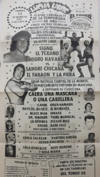 source: http://luchadb.com/posters/uploads/Rob_2026020415/Rob_2026020415_08.png