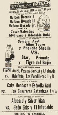 source: http://luchadb.com/posters/uploads/Rob_20260110G/Rob_20260110G_16.png