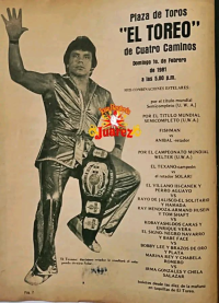 source: http://luchadb.com/posters/uploads/Rob_2026020415/Rob_2026020415_15.png