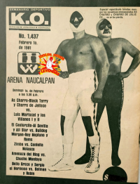 source: http://luchadb.com/posters/uploads/Rob_2026020421/Rob_2026020421_05.png