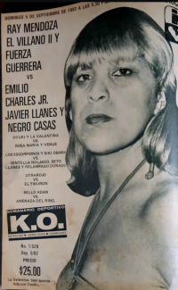 source: https://luchadb.com/posters/uploads/2026030204/20260302_19.png