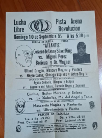 source: http://luchadb.com/posters/uploads/rob/19950910%20pista.png
