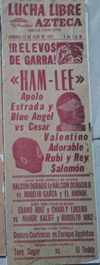 source: http://luchadb.com/posters/uploads/Rob_20260110R/Rob_20260110R_20.png