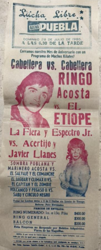 source: http://luchadb.com/posters/uploads/2026051403/20260514_09.png