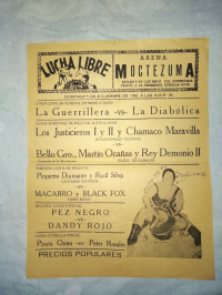 source: https://luchadb.com/posters/uploads/1739845091-67b3ede35f4c6.png