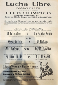 source: https://luchadb.com/posters/uploads/20250320Y/67dc9eec494ff.png