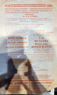 source: https://luchadb.com/posters/uploads/20250320Y/67dc9ef63a220.png