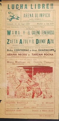 source: https://luchadb.com/posters/uploads/20250320Y/67dc9f0ae8601.png