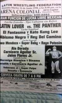 source: https://luchadb.com/posters/uploads/20250410B/67f8675664db9.png