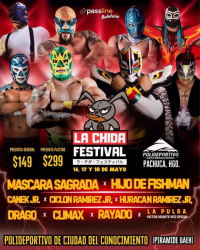 source: https://luchadb.com/posters/uploads/20250415/67fdb1ef6d82e.png