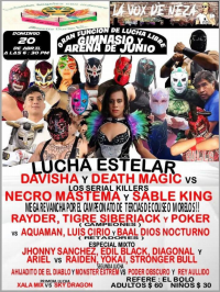 source: https://luchadb.com/posters/uploads/20250421/680590ef3411d.png
