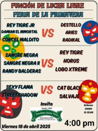source: https://luchadb.com/posters/uploads/20250421/68059153077d7.png