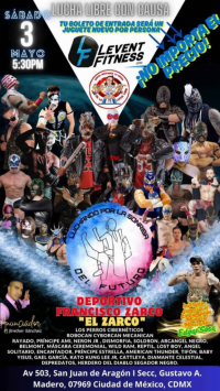 source: https://luchadb.com/posters/uploads/20250422/68079b0ce4353.png