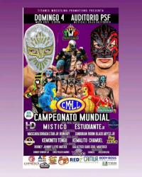 source: https://luchadb.com/posters/uploads/20250425/680af892ef20a.png