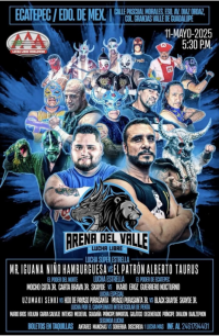 source: https://luchadb.com/posters/uploads/20250429/68110452ba8bb.png