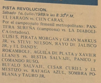 source: http://luchadb.com/posters/uploads/19890630%20-%20BYL_1901%20%28Rob%29.pdf.extracted_images/09.png