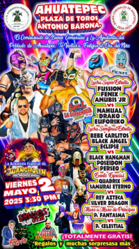 source: https://luchadb.com/posters/uploads/20250502/6814353a38cfe.png