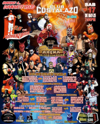 source: https://luchadb.com/posters/uploads/20250505/6818183f44867.png