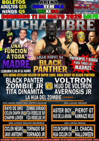 source: https://luchadb.com/posters/uploads/20250507/681bb459697f0.png
