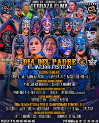 source: https://luchadb.com/posters/uploads/20250509/681d69d073ca4.png