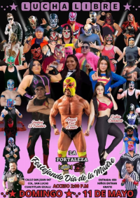 source: https://luchadb.com/posters/uploads/20250509/681d6a7943f9f.png