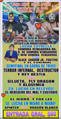 source: https://luchadb.com/posters/uploads/20250510/681f9f8304159.png