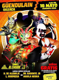 source: https://luchadb.com/posters/uploads/20250513/68237ba19d72d.png