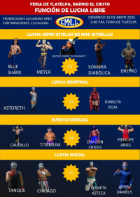 source: https://luchadb.com/posters/uploads/20250513/6823839289891.png