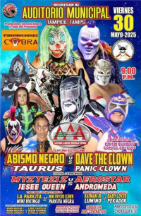 source: https://luchadb.com/posters/uploads/20250519/682a941dc4231.png