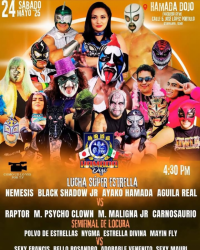 source: https://luchadb.com/posters/uploads/20250521/682de0ded100a.png