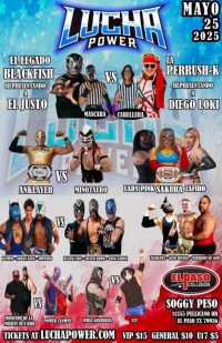 source: https://luchadb.com/posters/uploads/20250522/682f4deab7add.png
