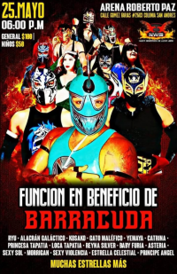 source: https://luchadb.com/posters/uploads/20250525/683348f733ffb.png