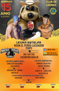 source: https://luchadb.com/posters/uploads/20250525/683348f9e07f6.png