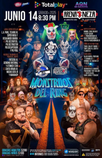 source: https://luchadb.com/posters/uploads/20250601/683c6b92a7f8f.png