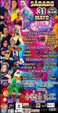 source: https://luchadb.com/posters/uploads/20250601/683c6b957daf3.png