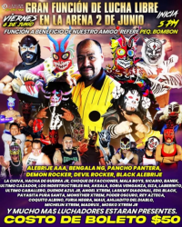 source: https://luchadb.com/posters/uploads/20250602/683dd44cebb68.png