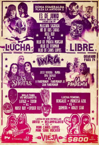 source: https://luchadb.com/posters/uploads/20250603/683f486a30b7b.png