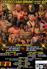 source: https://luchadb.com/posters/uploads/20250606/68426a0993ac9.png