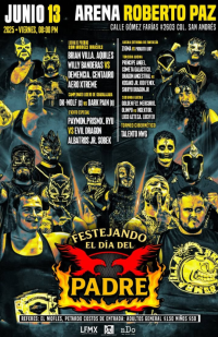 source: https://luchadb.com/posters/uploads/20250606/68426a9713284.png