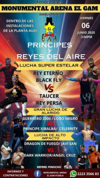 source: https://luchadb.com/posters/uploads/20250606/6842fc89311bd.png