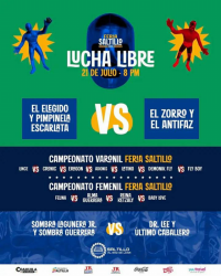 source: https://luchadb.com/posters/uploads/20250608/684598da990b9.png