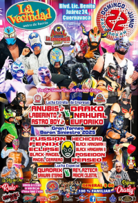 source: https://luchadb.com/posters/uploads/20250608/684599406db47.png