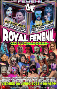source: https://luchadb.com/posters/uploads/20250608/68459a0b1d4d2.png