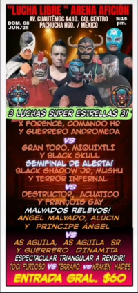source: https://luchadb.com/posters/uploads/20250609/68463c08a68e9.png
