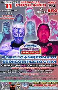 source: https://luchadb.com/posters/uploads/20250610/6848343130af4.png