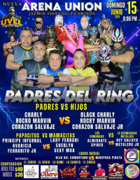 source: https://luchadb.com/posters/uploads/20250613/684b8be9edd57.png