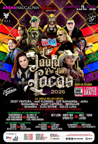 source: https://luchadb.com/posters/uploads/20250613/684b946d94ea5.png