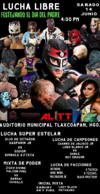 source: https://luchadb.com/posters/uploads/20250615A/684ee105d5143.png